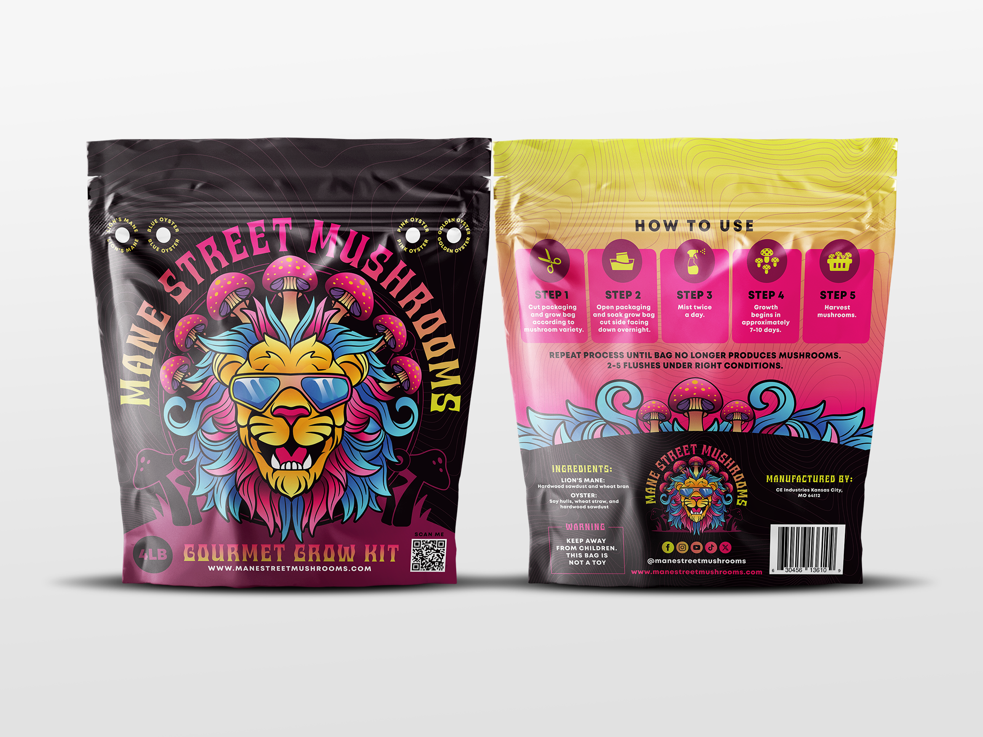 Mane Street Mushrooms Lions Mane Grow Kit