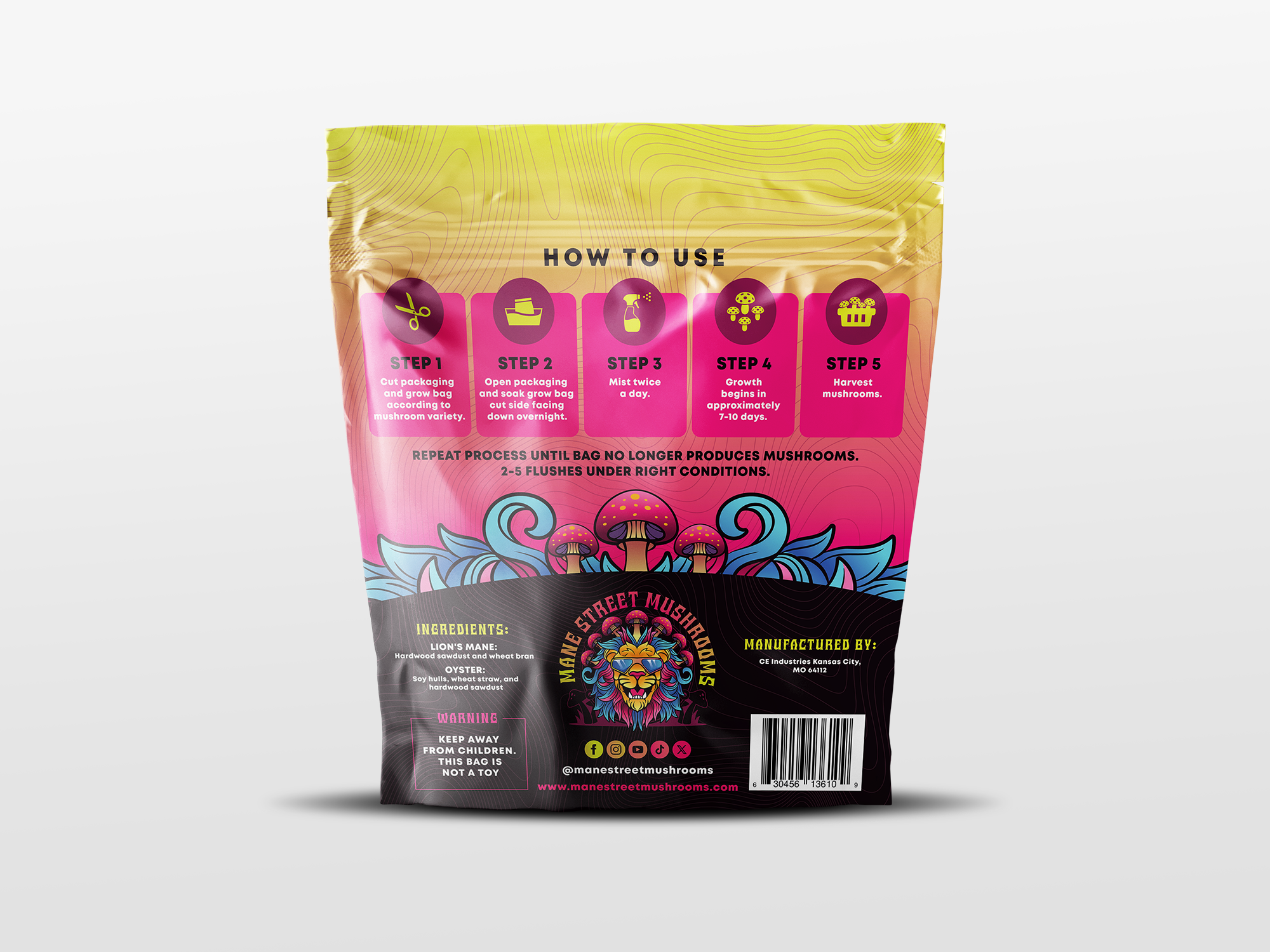 Mane Street Mushrooms Lions Mane Grow Kit